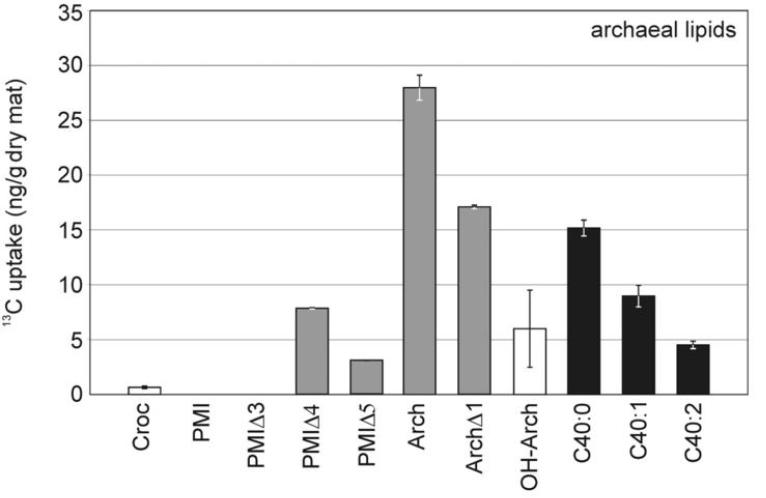 沿海微生物垫中，古细菌多样性的16SrRNA基因标签测序分析