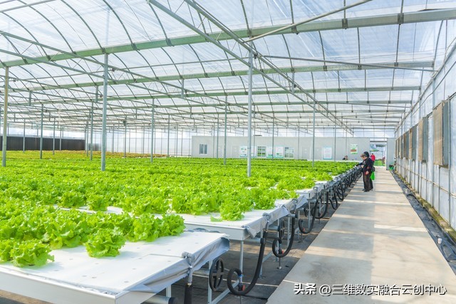 农业发展重点突破,农业创新发展模式