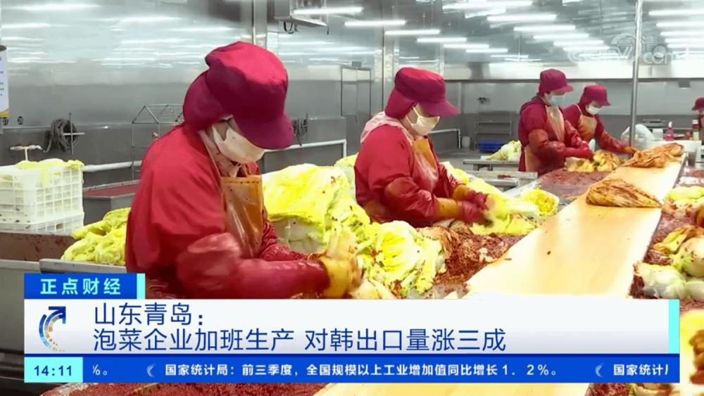 一颗白菜90元，韩国面临泡菜危机，山东小镇掌控韩国人泡菜自由