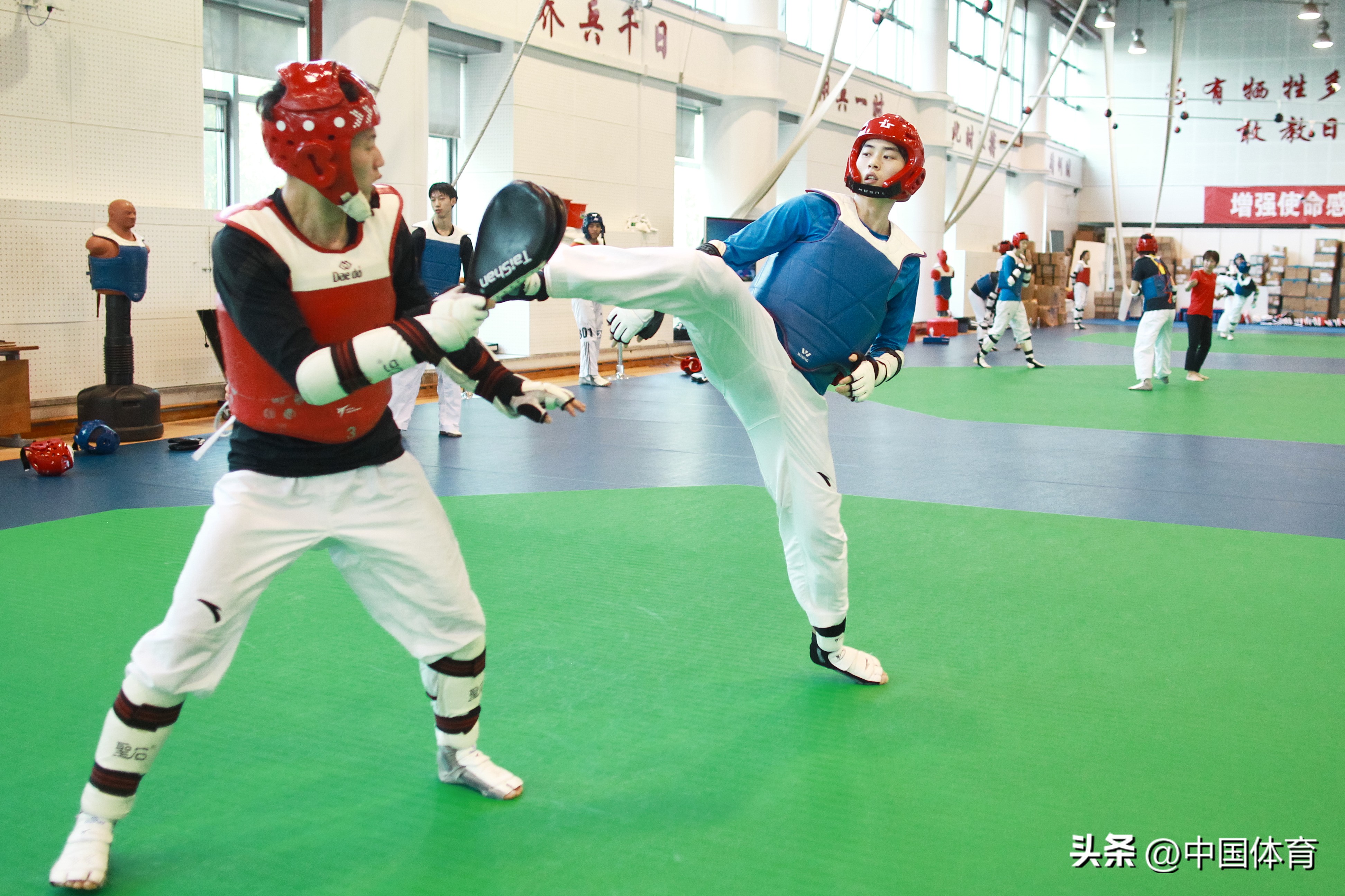 中国国家跆拳道队出征东京奥运会,中国跆拳道队巴黎奥运会