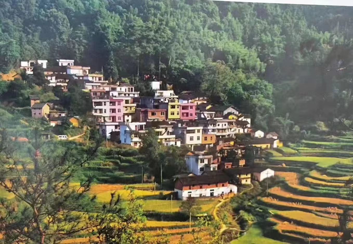 8090后的小学时光,80后老时光图片