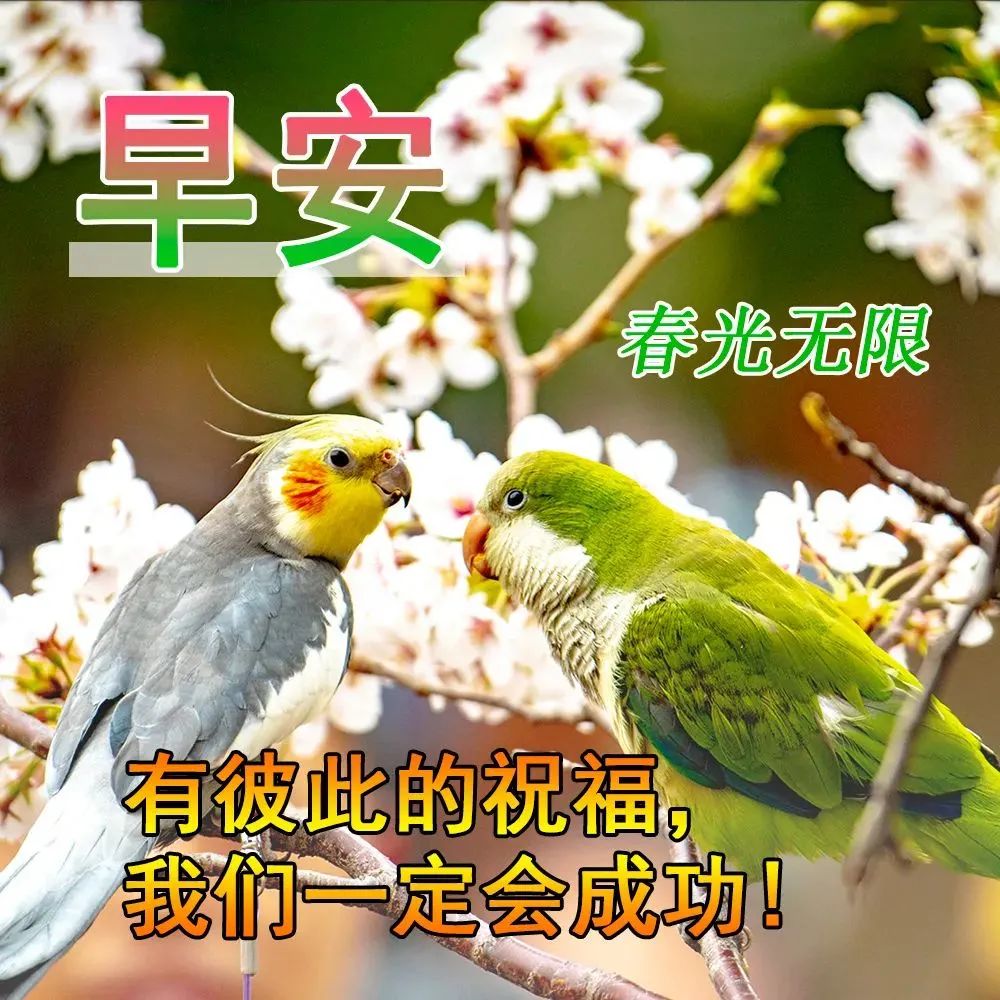 清晨开心幸福问候表情图片,早上好祝你天天开心表情图片