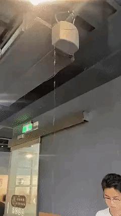 动图搞笑,搞笑动图平时笑不出来却忍不住