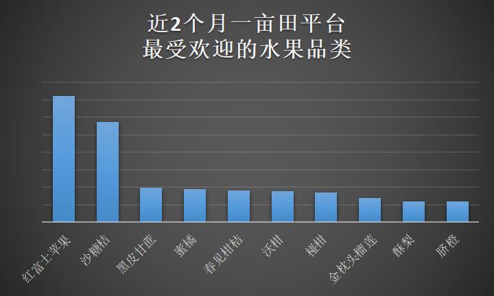 春节期间最热门的生意,春节前最赚钱的生意有哪些