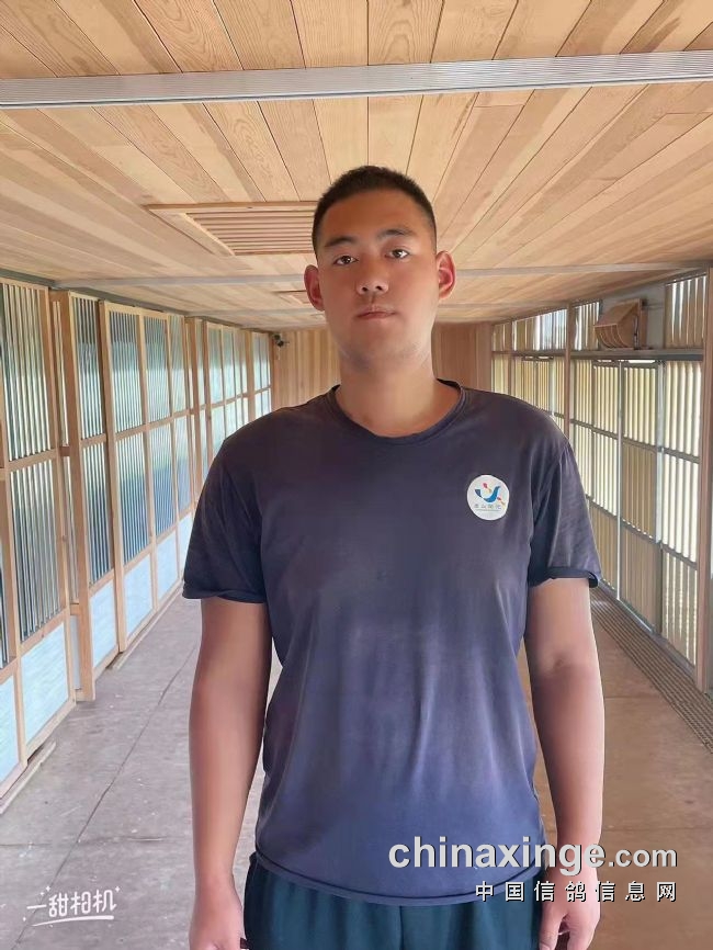 三年赢得百辆奖车职业赛场大显神威金石赛鸽团队