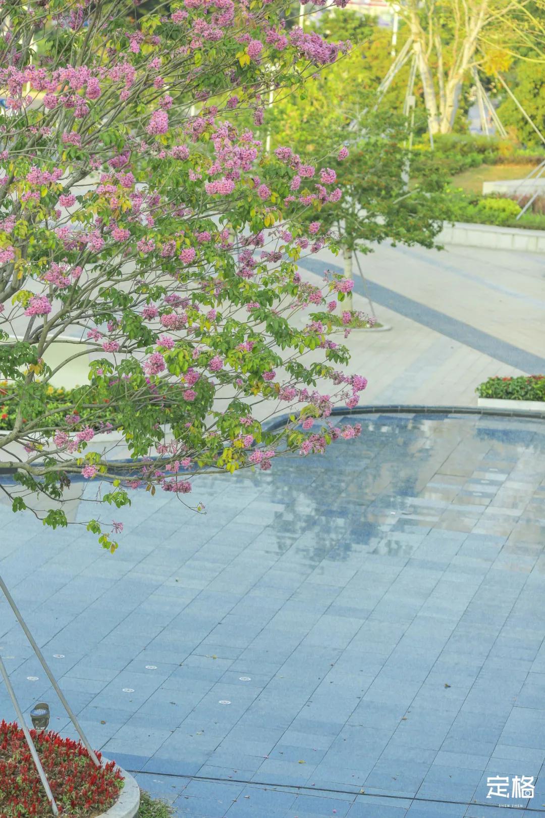 雨林打卡网红地滑梯,深圳哪里有超大型滑梯