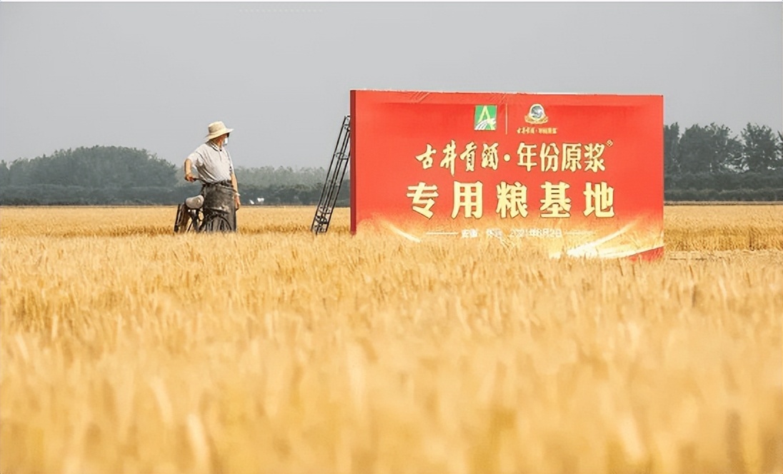 古井贡酒知识,古井贡酒中国美酒