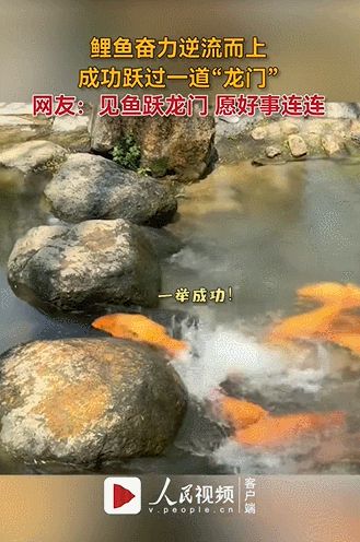 小红书如何快速提高播放量,小红书笔记一个小时点击率破千