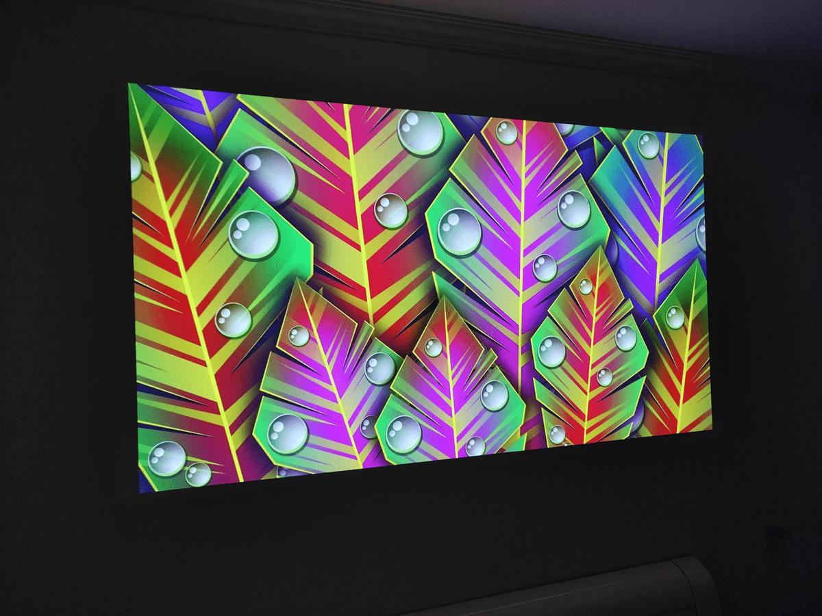 aock1鎶曞奖娴嬭瘎,aocc1鎶曞奖娴嬭瘎