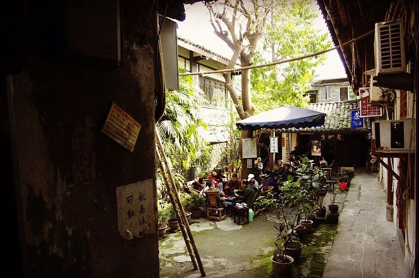 鏂囧湥鑼惰瘽,鏂囪儨鑼惰