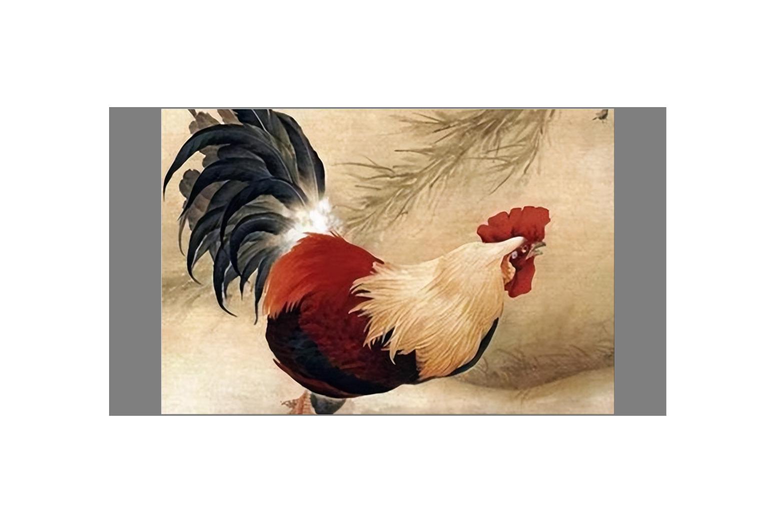 属鸡几月出生最旺财,属鸡的人五年之内接财接福接好运