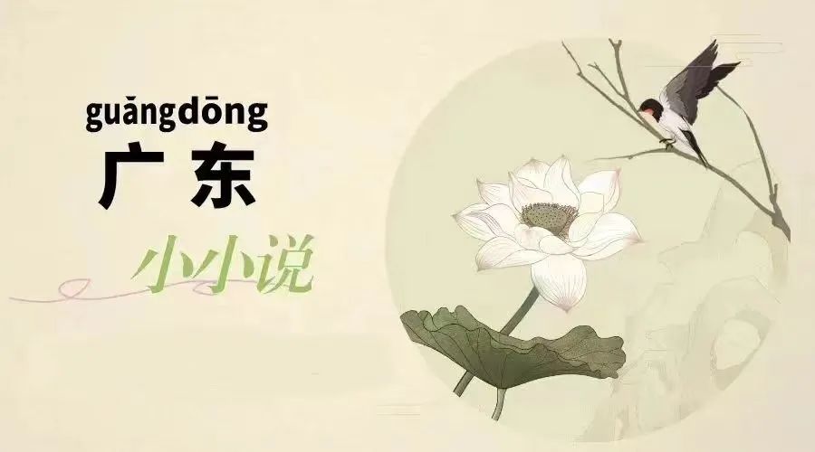 广东省小小说,广东小小说作家