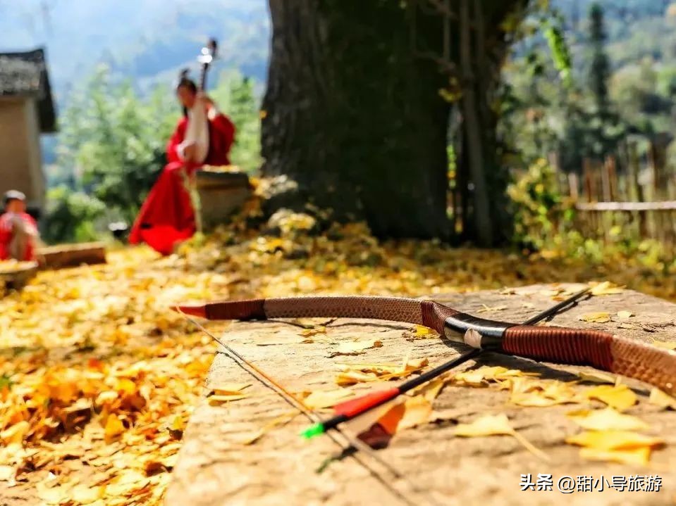 千年老银杏树下,千年银杏树之下