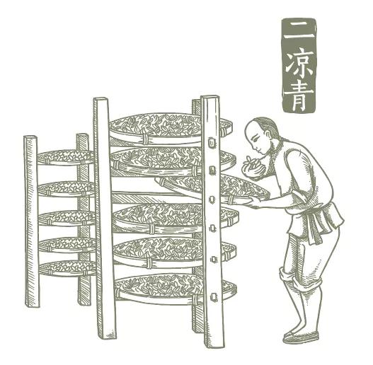 安溪铁观音邮票绘画,安溪铁观音个性化邮票