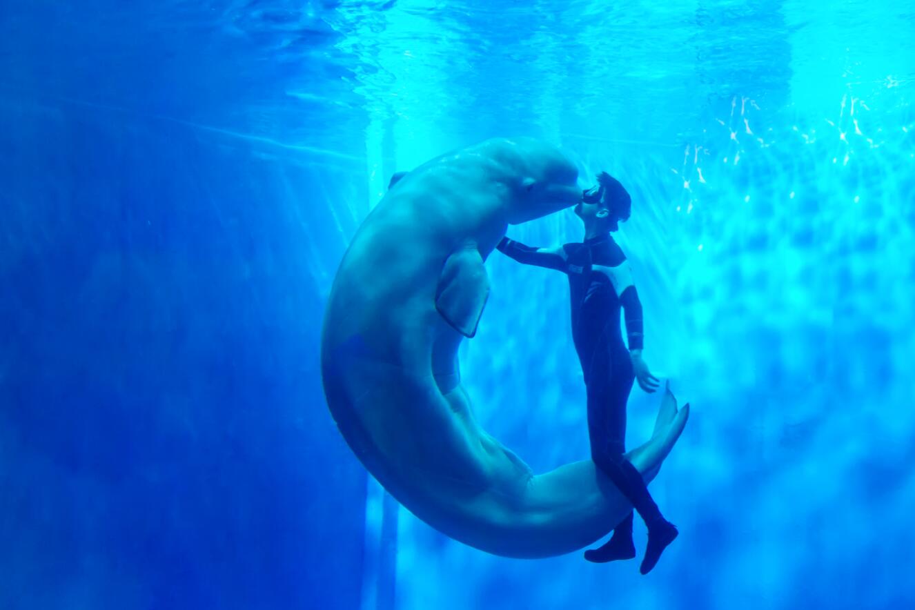 威海神游海洋门票多少钱,威海神游海洋世界推荐游玩时间