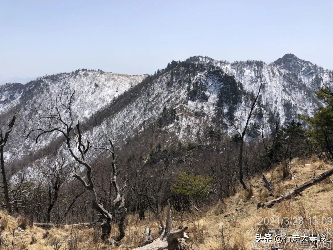 首阳山穿越大坪梁景色怎么样,大坪梁穿越到首阳山攻略