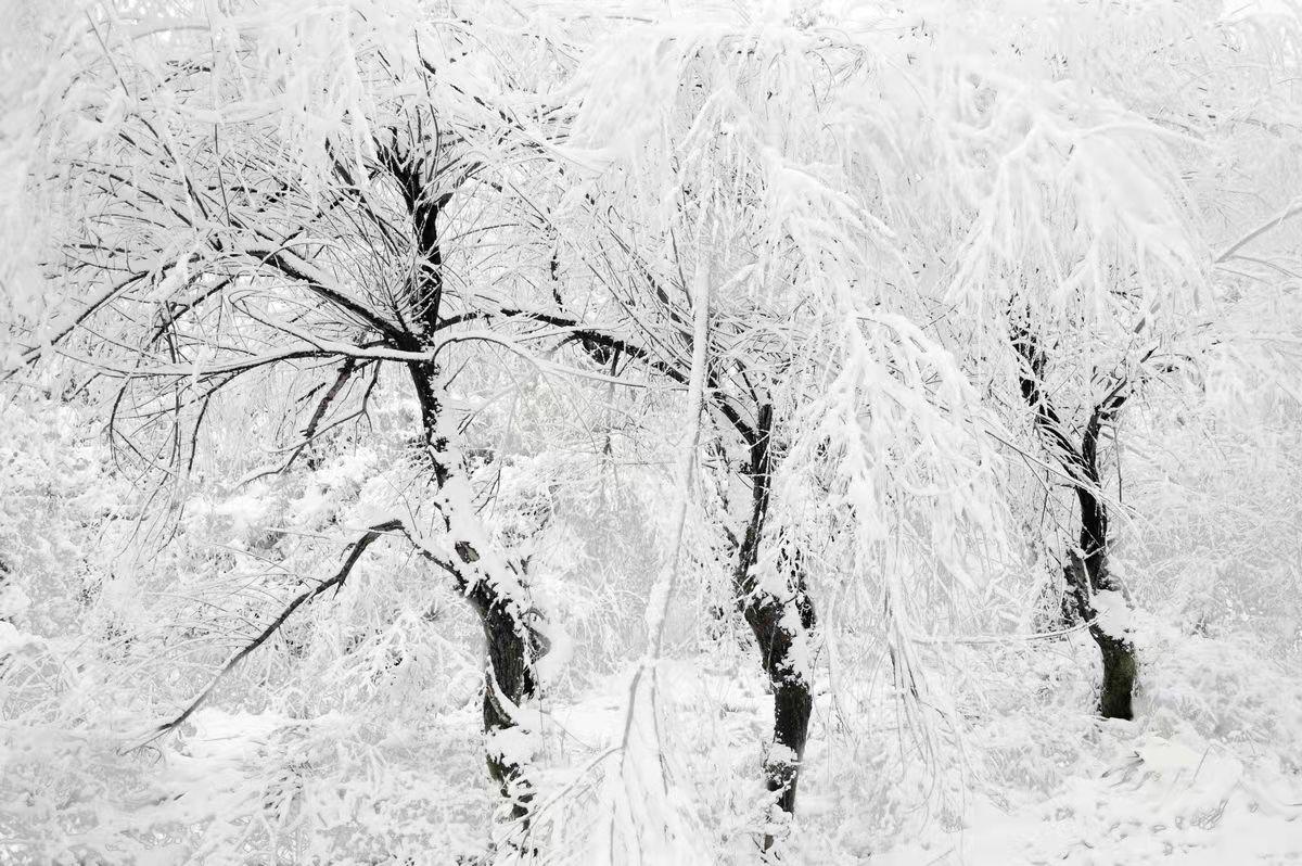 “公进民退”！肥东义务教育全面拥抱公立学校的春天已经来到