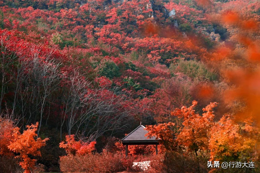 大连徒步爬山景点,大连十大登山攻略大全
