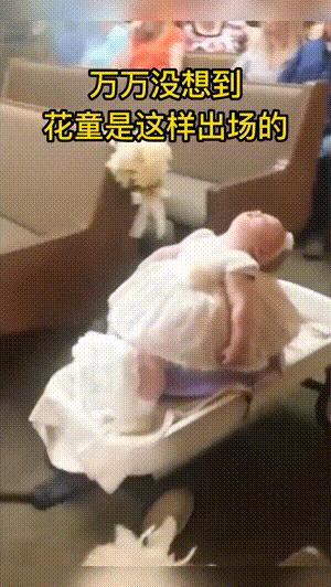 垃圾桶搞笑视频gif,搞笑gif段子塑料袋成精了