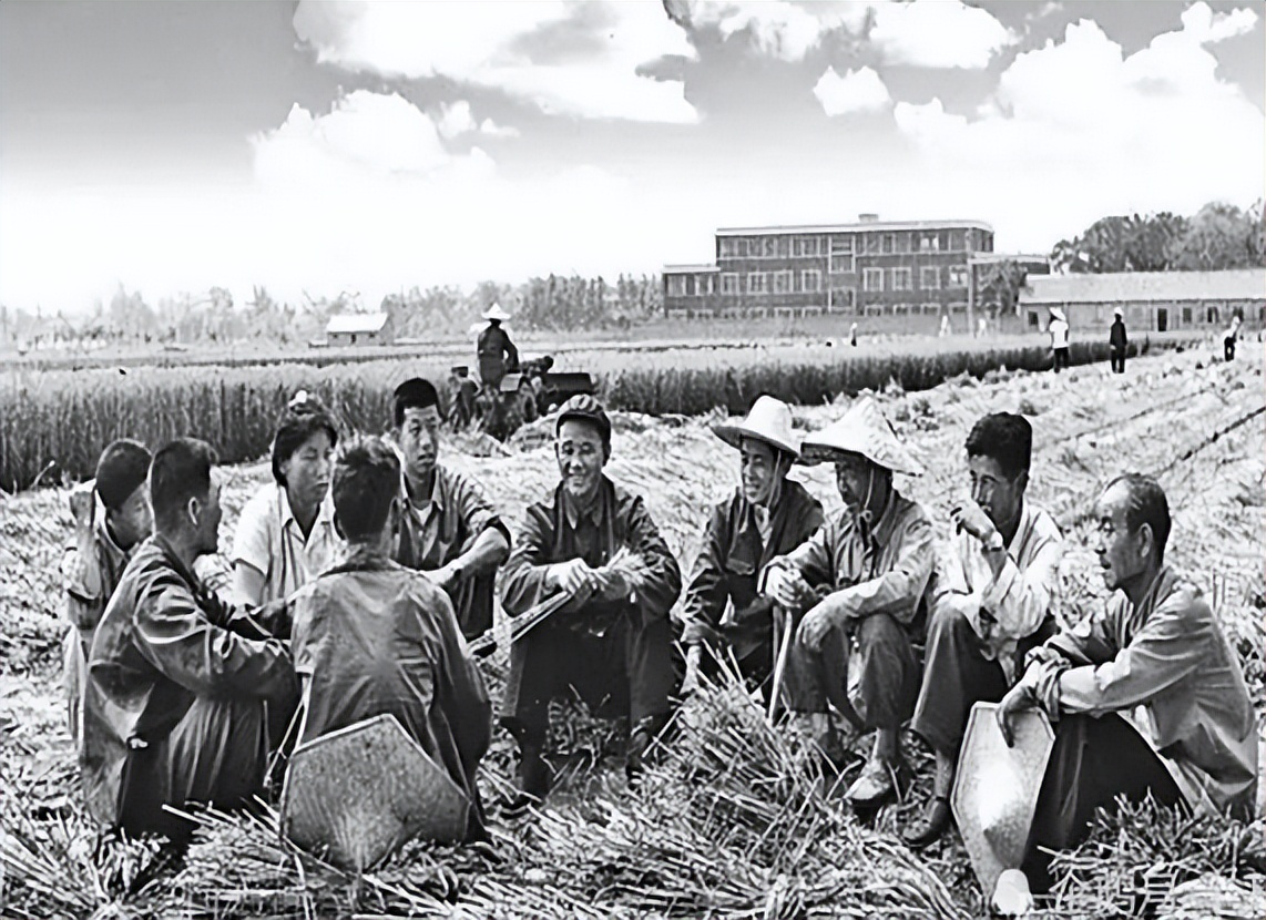 虱子现在灭绝了吗,虱子在自然界存在吗