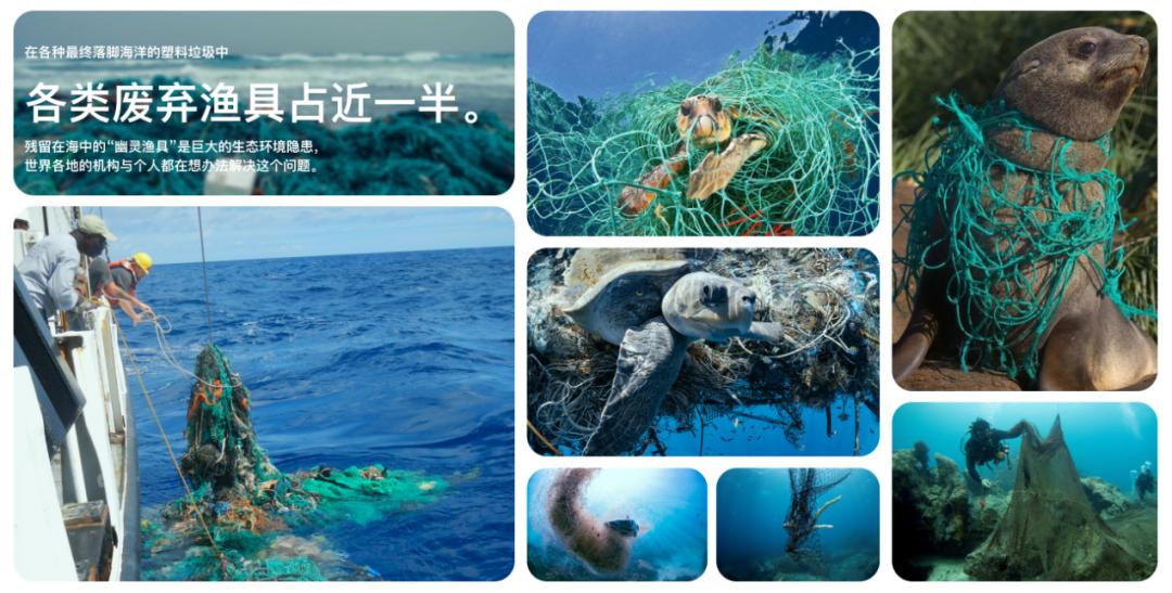 优质全棉渔网,渔网定制pp材质