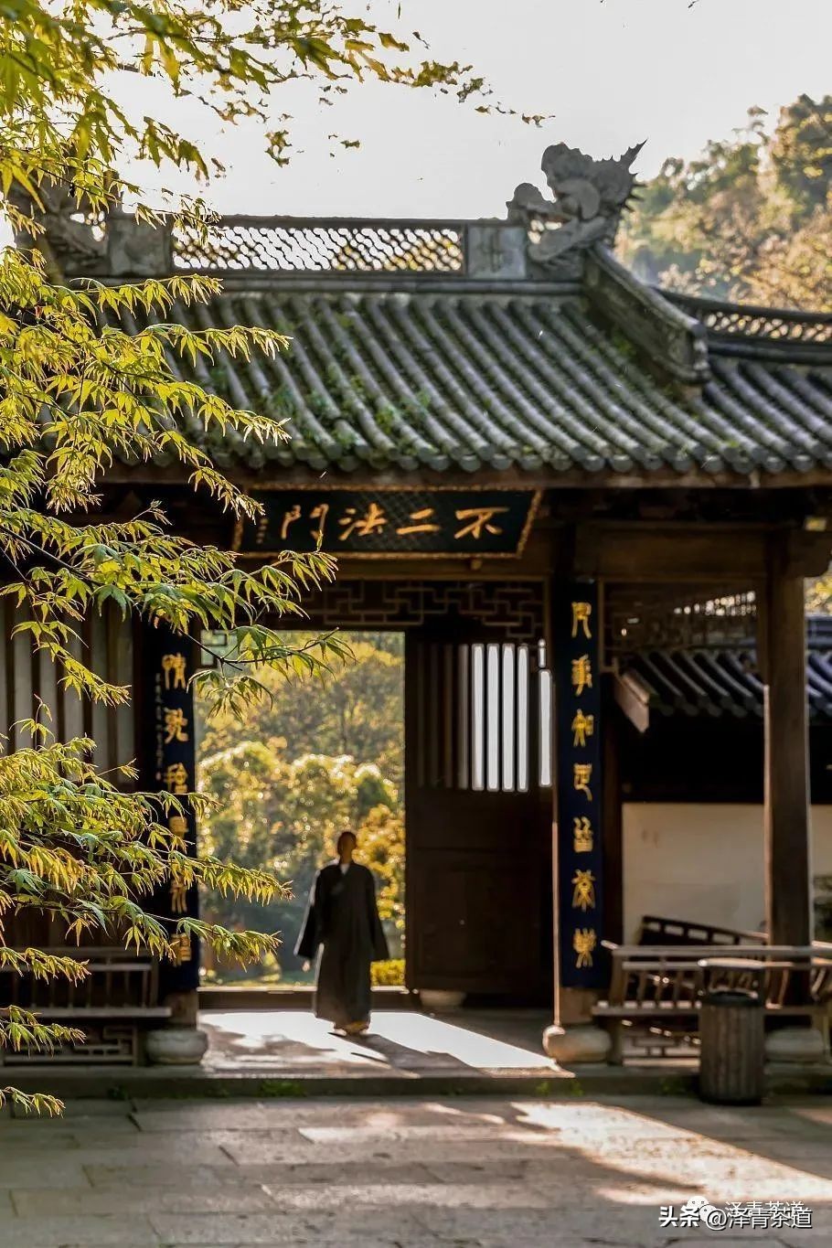 福建中国茶叶第一大省,中国茶叶排名第一省