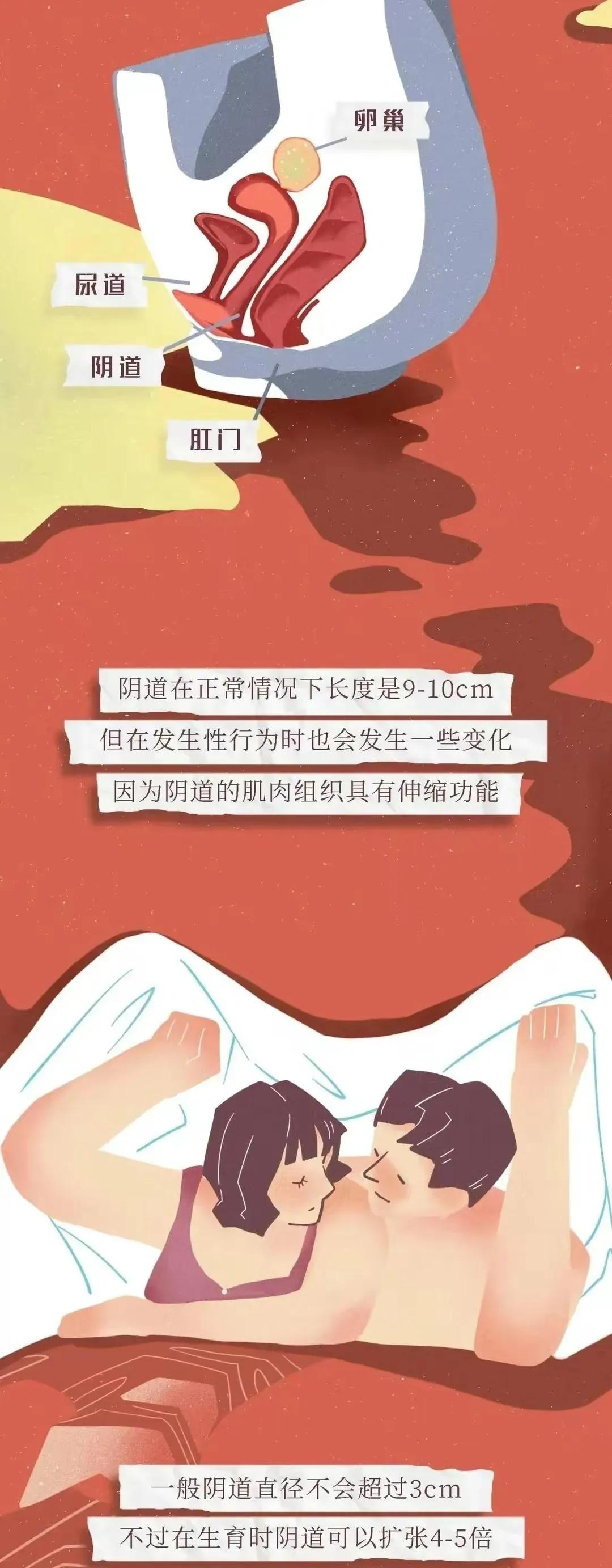 女生要了解的“阴道”知识，男人要保护好自己心爱的女孩