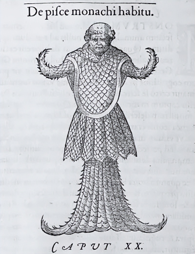 人鱼是怎样变成美人鱼的,丑人鱼变美长什么样子