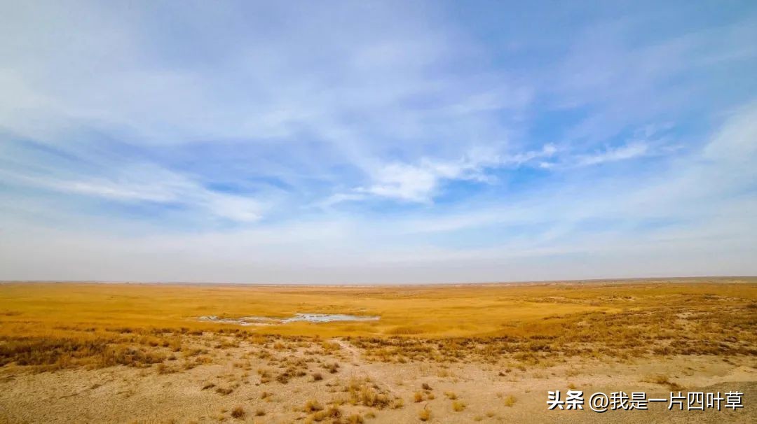 今日八一，以诗为证