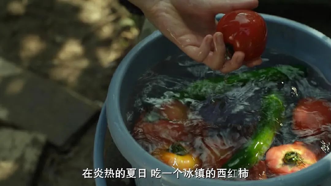 宅家美食纪录片第一集,宅家美食攻略大全集