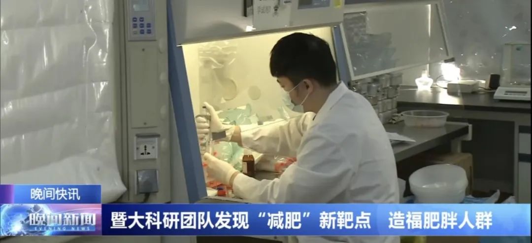 你是个成熟的脂肪细胞了,应该学会自己燃烧