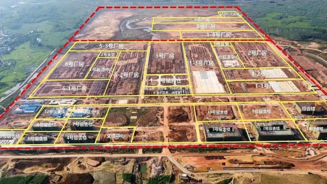 广西真能实现水果自由吗,广西南宁实现水果自由