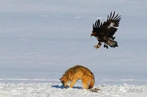 踢球一定要有自己的风格,踢球也是一种乐趣