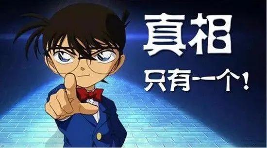 真传和嫡传,真传陈式太极拳