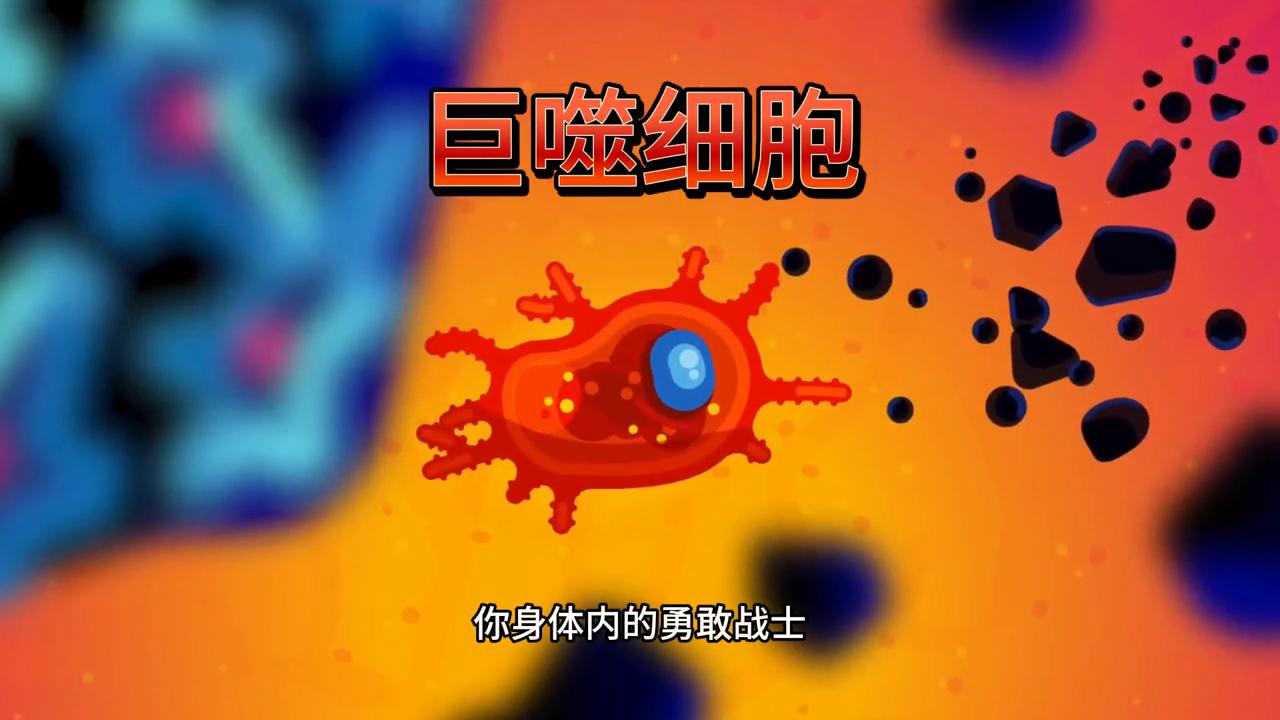 纹身伤免疫系统吗,纹身的伤害视频