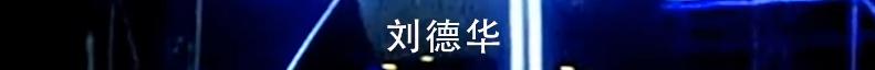 刘德华私生饭杨丽娟,杨丽娟事件刘德华是怎么回应的