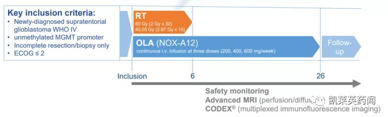 新药巡礼:核酸“抗体”曙光已现,NOX-A12发力肿瘤治疗