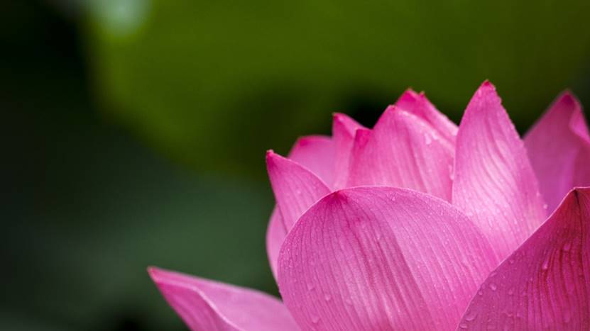 睡眠模式怎样定两个闹钟,睡眠状况可以设置2个闹钟吗