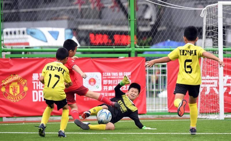 北京2024年改革试点,2024北京改革最新方案