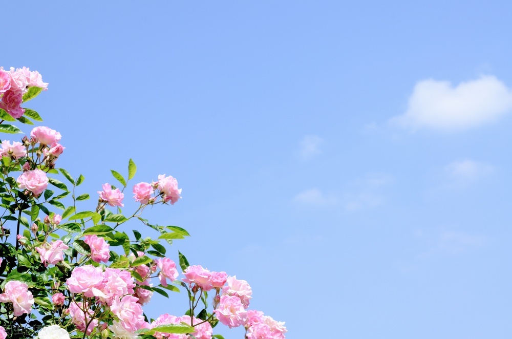 皮肤变好的习惯男生,皮肤变好的习惯