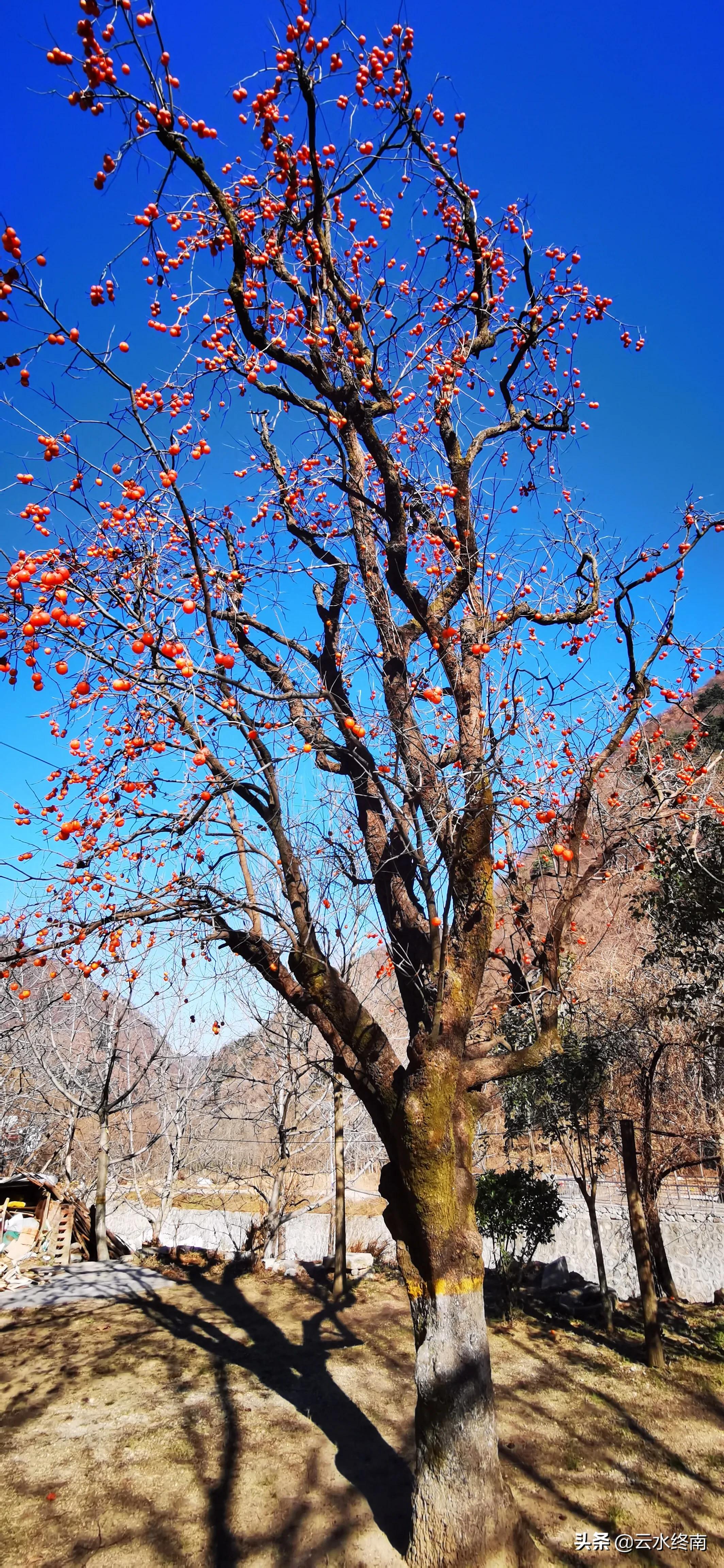 现存秦岭古栈道,保存最好的秦岭栈道