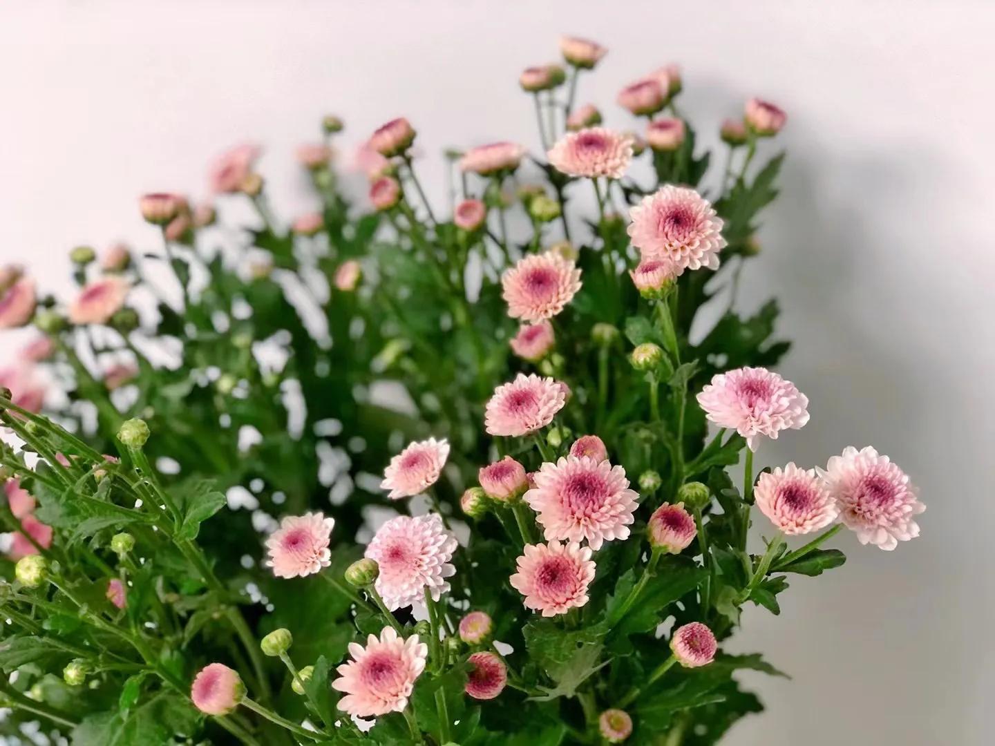 亲人去世过后可以坐别人的车吗,过世的人可以用电梯下楼吗