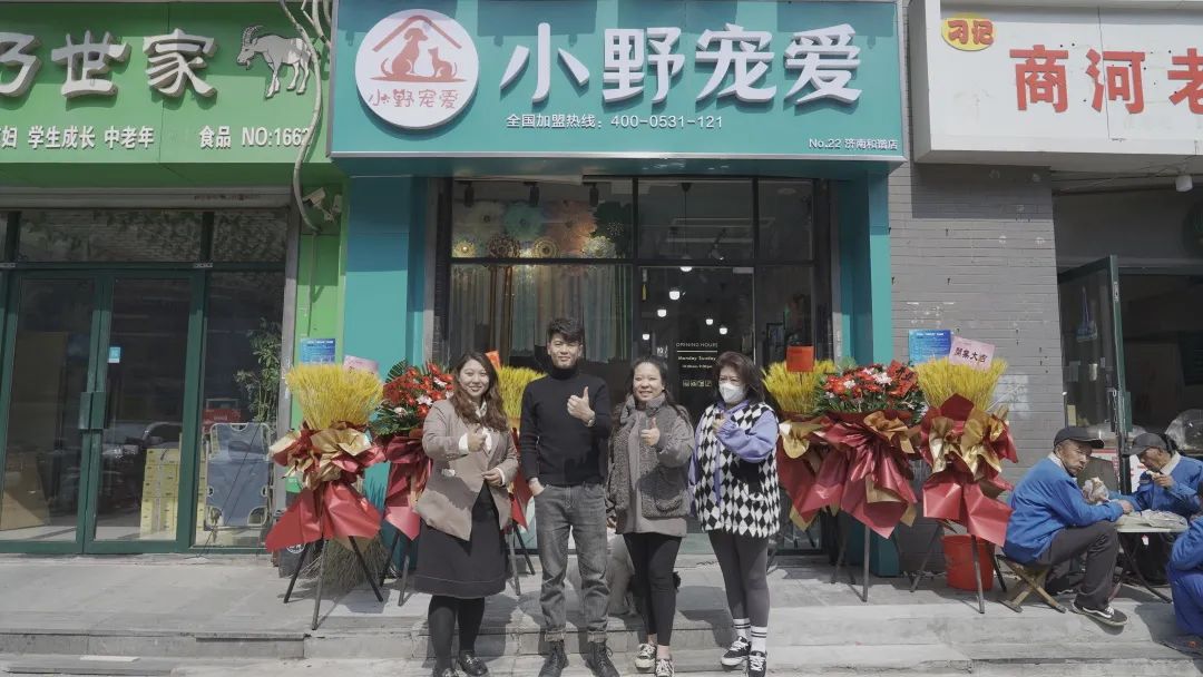 小野宠爱美容培训,小野宠爱宠物美容培训