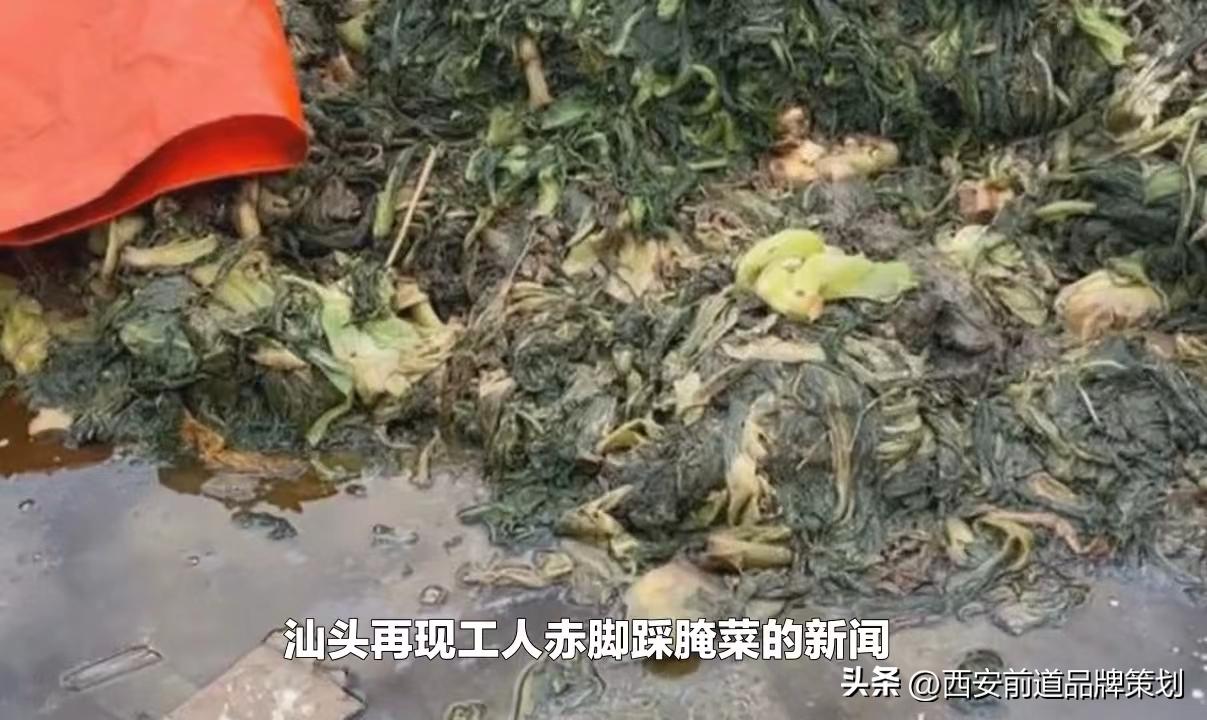 用诚信之光照亮消费信心文案,用诚信之光照亮消费信心315晚会