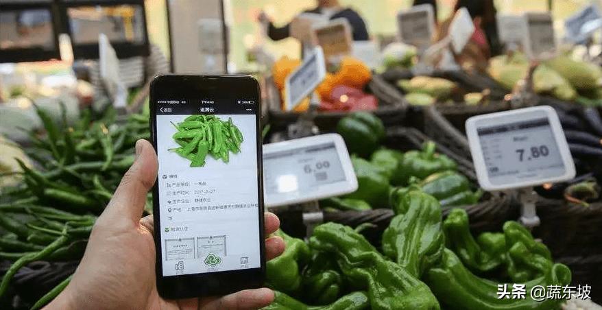 蔬东坡生鲜配送软件口碑,蔬东坡生鲜配送软件学习