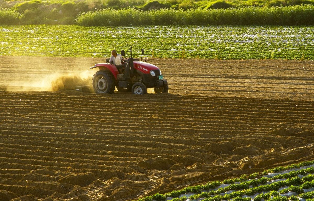 世界上最孤独的国家有多孤独？节假日商铺全关，却令无数人向往