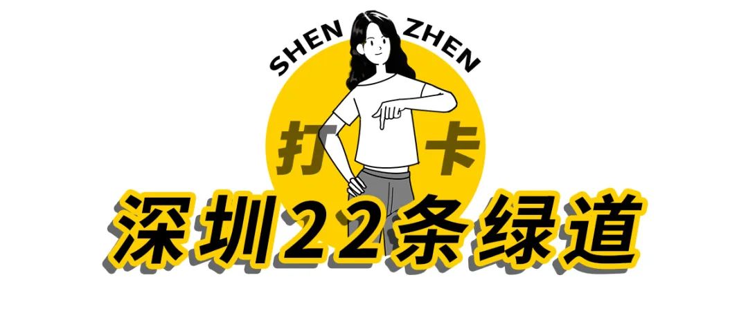 深圳九条最美绿道图片,这些深圳绿道骑出你的美