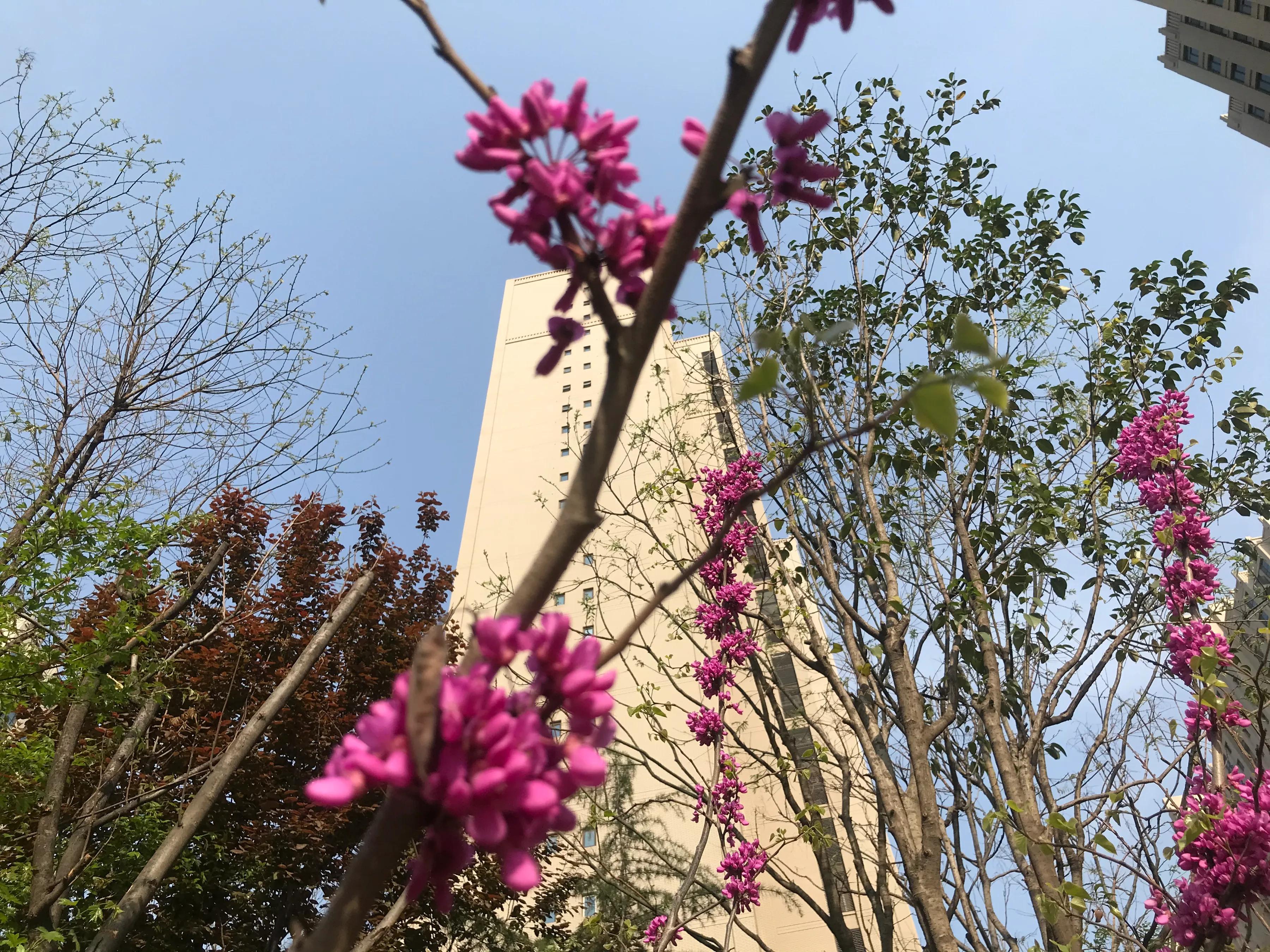 世态炎凉，亲情淡薄，80后小伙感叹要和舅舅断交