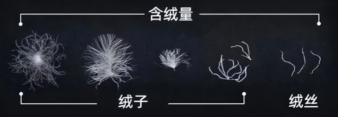 新国标羽绒服吊牌怎么买,新国标实施前买羽绒服