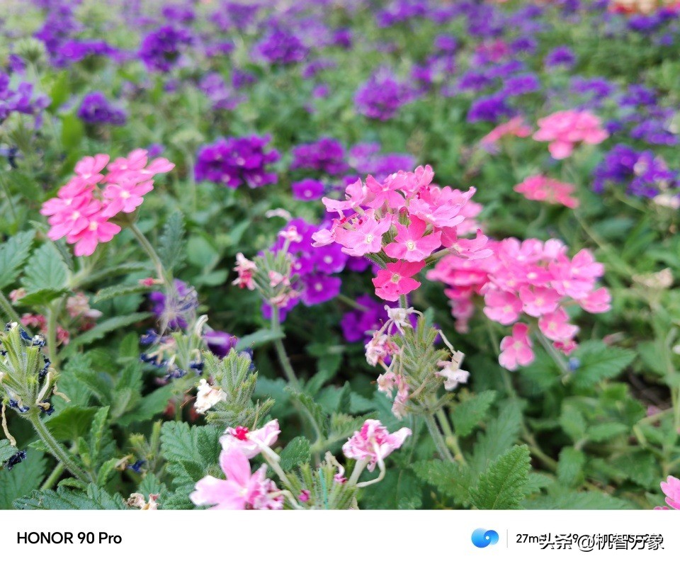 荣耀90promagicos7.1游戏模式,荣耀90在哪里升级magic8.0系统